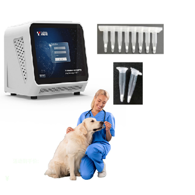 Máy Phân Tích PCR Tự Động MT-PCR01 Ứng Dụng Trong Bệnh Viện Thú Cưng